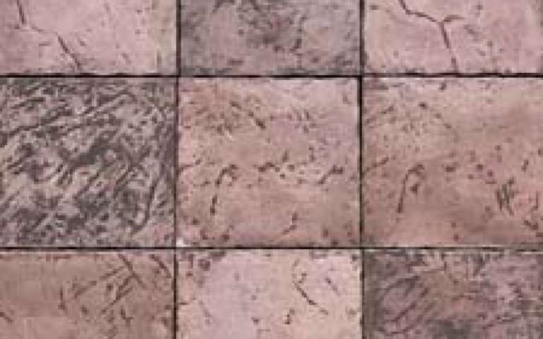 Oak Samples