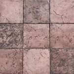 Oak Samples